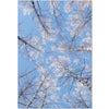 Tree Tops Winter Seasonal Card | Putti Celebrations
