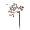 Mini Cones with Snow Spray Picks | Putti Christmas Decorations