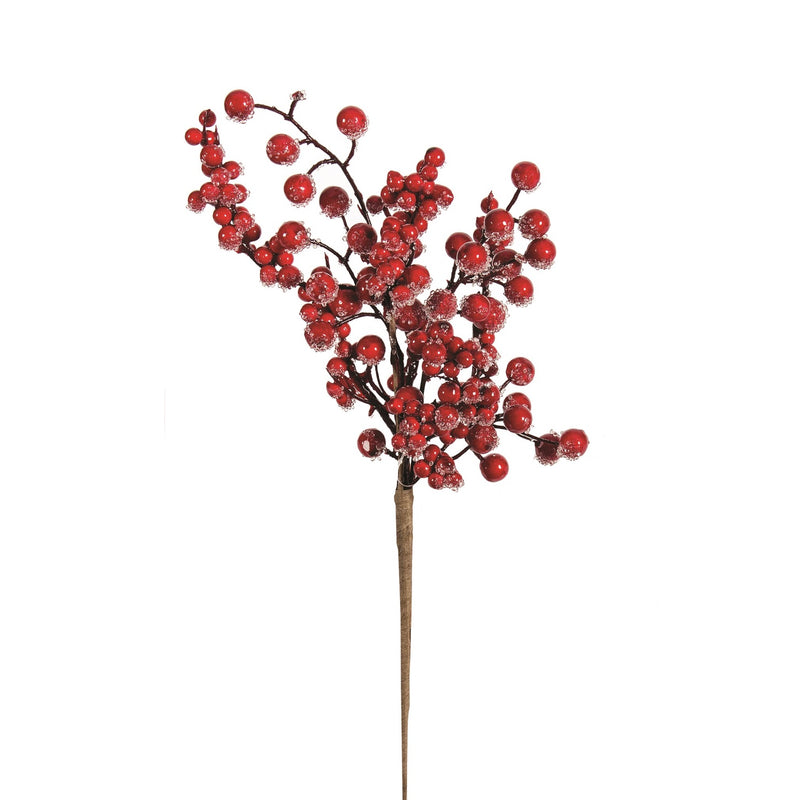 Frosted Red Berry Pick
