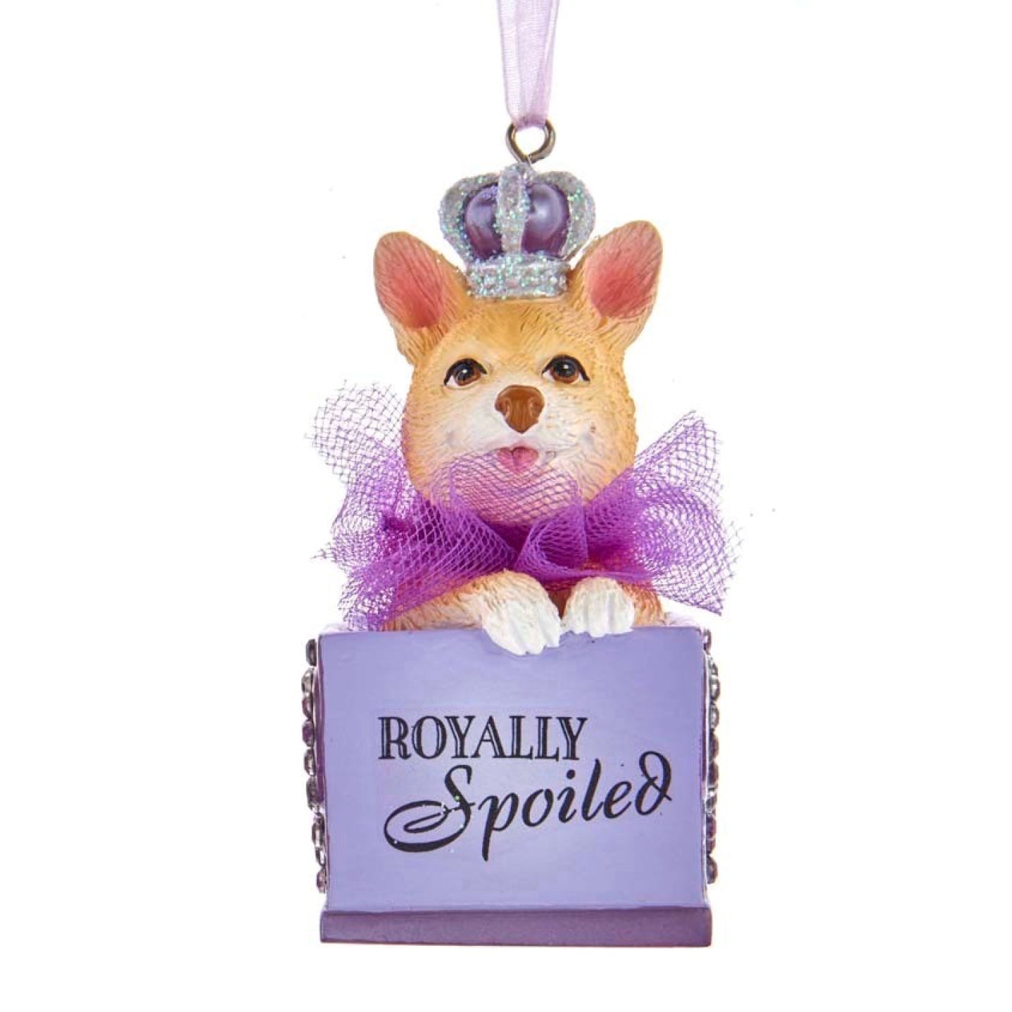 Kurt Adler Royal Splendor Dog in Box Ornament | Putti Decorations 