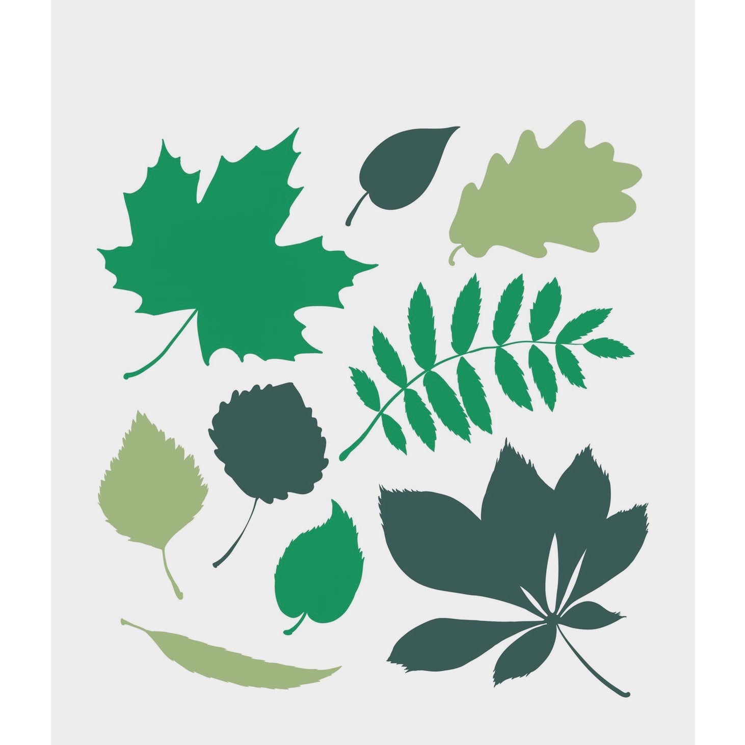Wet it! Green Leaf Swedish Cloth | Putti Fine Furnishings 