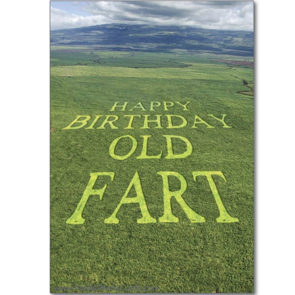 Nobleworks Happy Birthday Old Fart Greeting Card | Putti Celebrations 