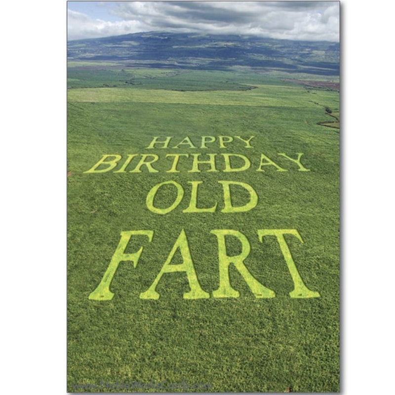 Nobleworks Happy Birthday Old Fart Greeting Card | Putti Celebrations 