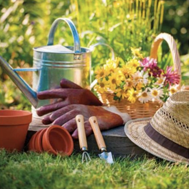 Gardening Tools Greeting Card