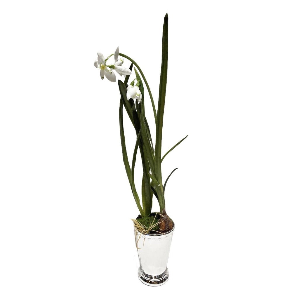 White Snowdrops in Silver Julep Cup