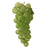 Green Glass Grapes -  Christmas - Winward - Putti Fine Furnishings Toronto Canada