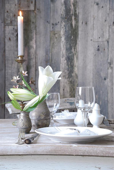 Jeanne d'Arc Living Magazine Jan 2014 1st Edition, Jeanne d'Arc Living, Putti Fine Furnishings