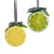 Kurt Adler Lemon and Lime Slice Ornament