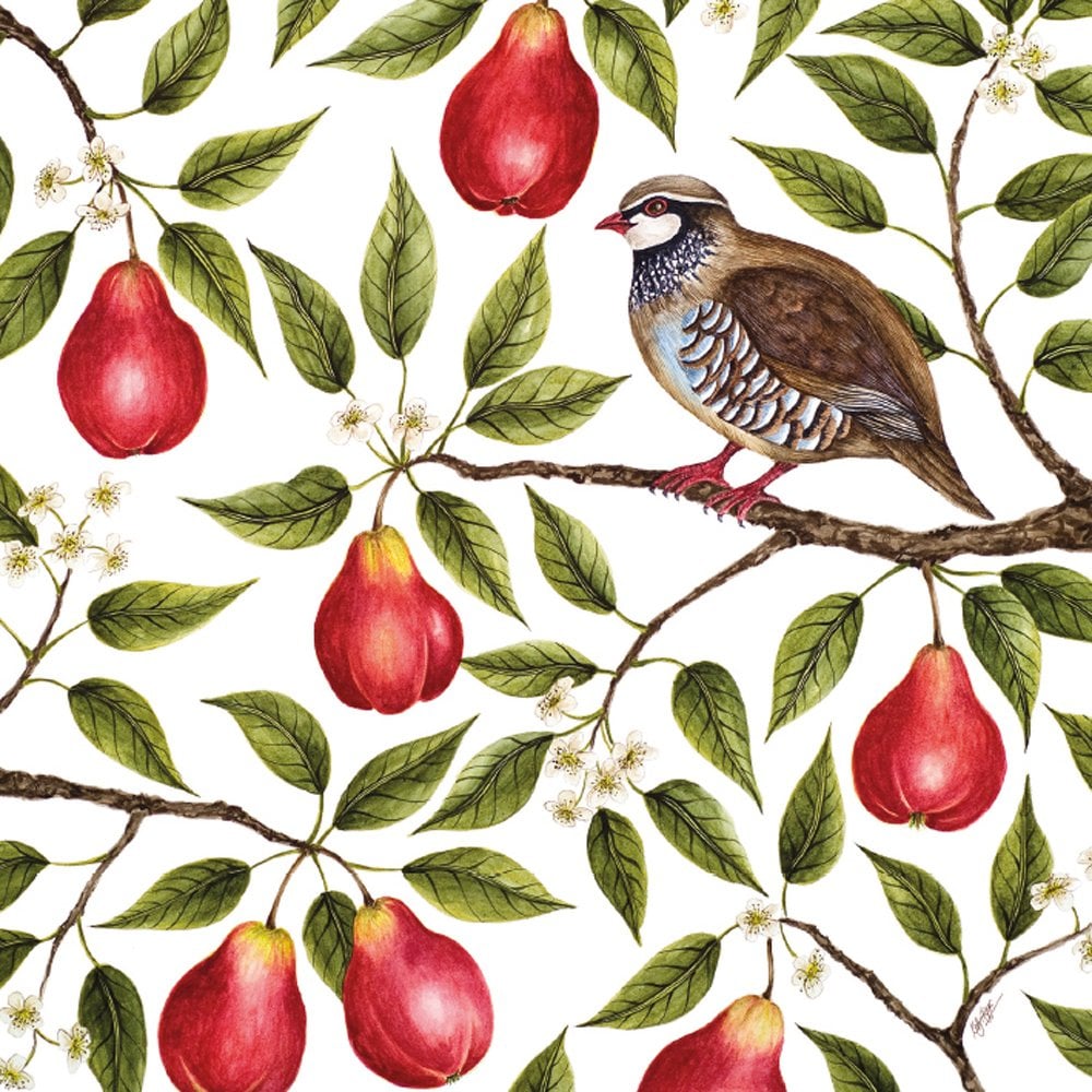 Christmas Pack Note Cards