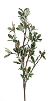 Varigated Greenery Branch