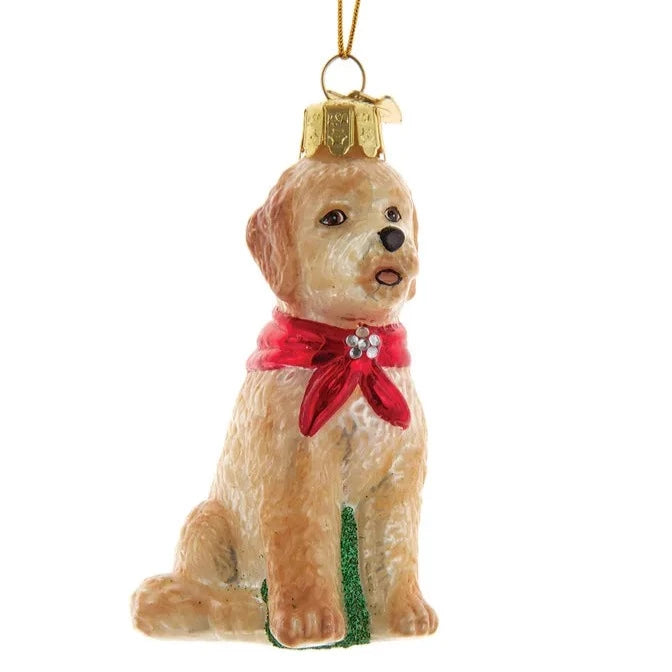 Kurt Adler Goldendoodle with Red Scarf Glass Ornament | Putti Christmas 