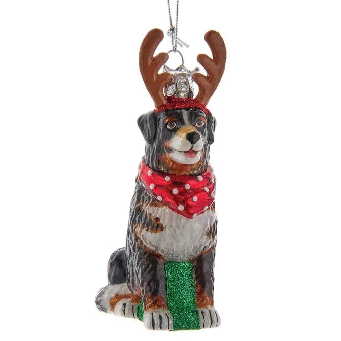 Kurt Adler Bernese Mountain Dog with Antlers Glass Ornament  | Putti Christmas
