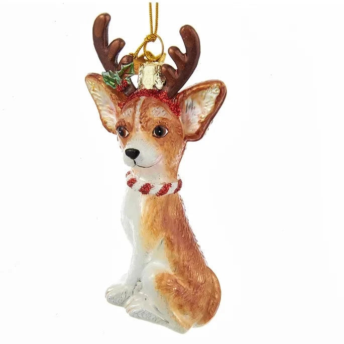 Kurt Adler Chihuahua with Antlers Glass Ornament | Putti Christmas 