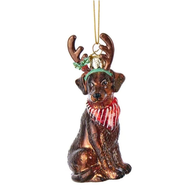 Kurt Adler Chocolate Labrador with Antlers Glass Ornament | Putti Christmas 