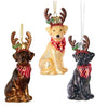 Kurt Adler Chocolate Labrador with Antlers Glass Ornament | Putti Christmas