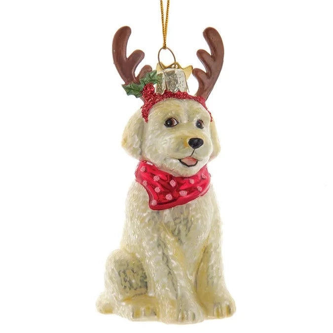 Kurt Adler Labradoodle with Antlers Glass Ornament | Putti Christmas 