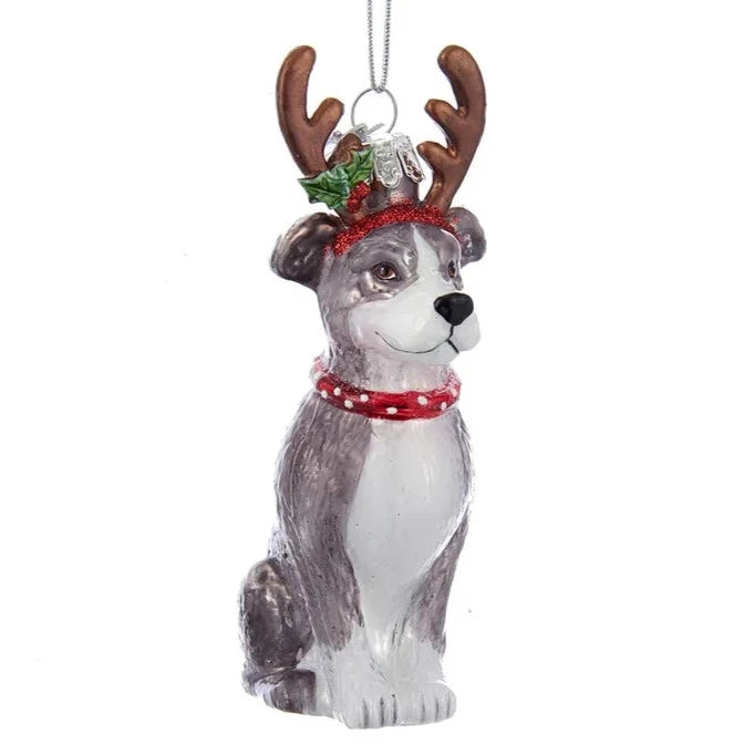 Kurt Adler Pitbull with Antlers Glass Ornament