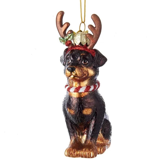 Kurt Adler Rottweiler with Antlers Glass Ornament | Putti Christmas 