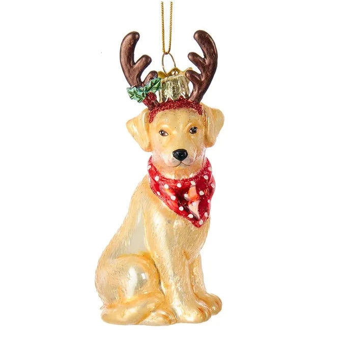 Kurt Adler Yellow Labrador with Antlers Glass Ornament