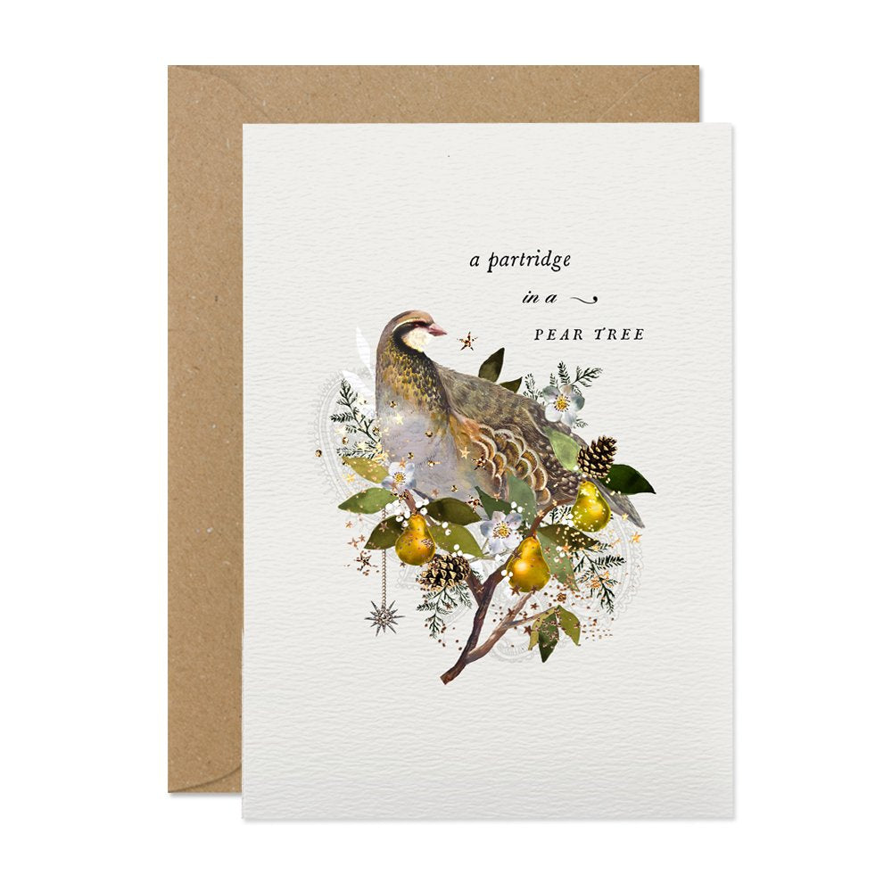 "a Partridge in a Pear Tree" Christmas Card Pack