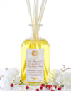 Antica Farmacista Pomegranate, Currant & Blood Orange Diffuser, AF-Antica Farmacista, Putti Fine Furnishings