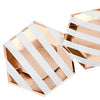 Rose Gold Foil Striped Plates - Large -  Party Supplies - Meri Meri UK - Putti Fine Furnishings Toronto Canada - 4