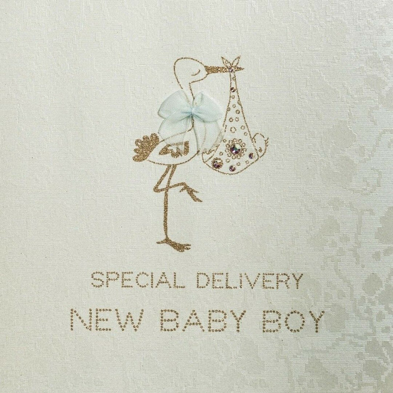 Five Dollar Shake "Special Delivery New Baby Boy" Stork Greeting Card | Putti 