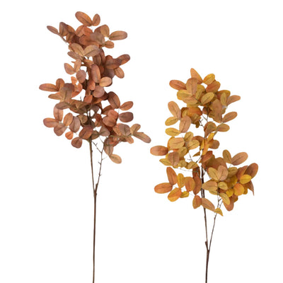 Fall Leaves Stems