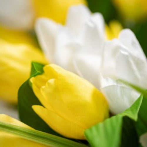 Tulip Wreath