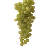 Green  Grapes -  Christmas - Winward - Putti Fine Furnishings Toronto Canada
