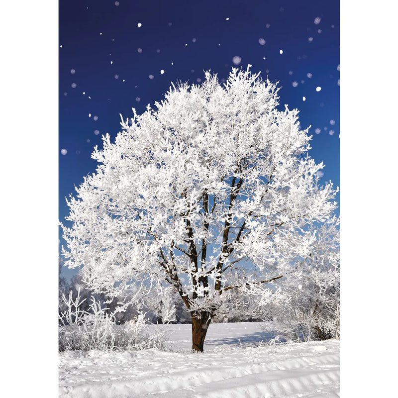 Ling Design - Winter Scene Boxed Christmas Cards |.Putti Christmas 