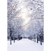 Winter Scene Boxed Christmas Cards