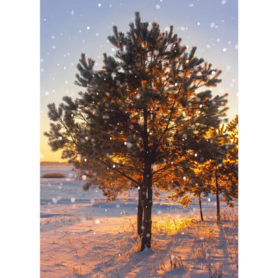 Winter Scene Boxed Christmas Cards