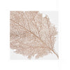 Gold Coral Paper Napkin - Lunch, Harman, Putti Fine Furnishings