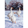 Museums & Galleries - Winter Birds Boxed Christmas Cards | Putti