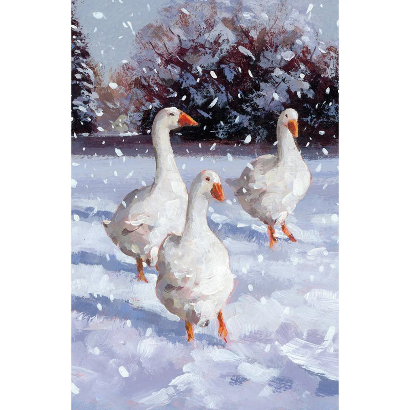 Museums & Galleries - Winter Birds Boxed Christmas Cards | Putti 