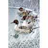 Museums & Galleries - Winter Birds Boxed Christmas Cards | Putti