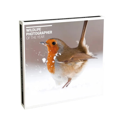 Museums & Galleries - Robin & Hare Boxed Christmas Cards | Putti